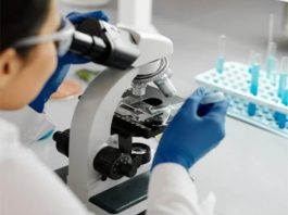Study finds possible way to heal damaged lungs after premature birth